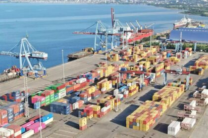 Diplomasi Sawit Indonesia Dari Pasar Tradisional ke Diversifikasi Global