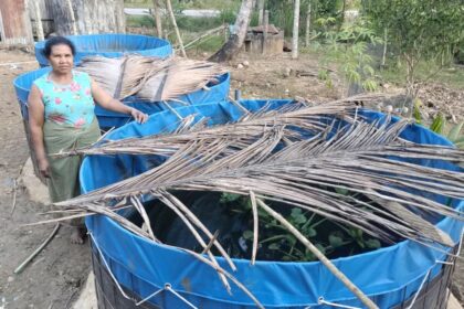 Dugaan Penyimpangan Bantuan Benih Lele di TTS: Anggaran Rp500 Juta, Spesifikasi Tidak Sesuai, Petani Rugi