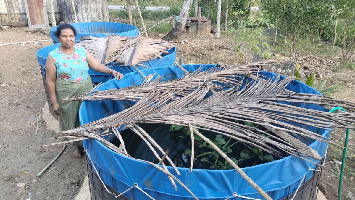 Dugaan Penyimpangan Bantuan Benih Lele di TTS: Anggaran Rp500 Juta, Spesifikasi Tidak Sesuai, Petani Rugi