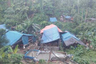 Halmahera Selatan Didorong Segera Terbitkan Izin Tambang Rakyat