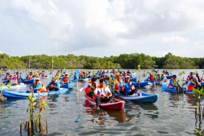 IMIP Genjot Rehabilitasi Mangrove, Targetkan Penanaman 2.026 Bibit di Morowali