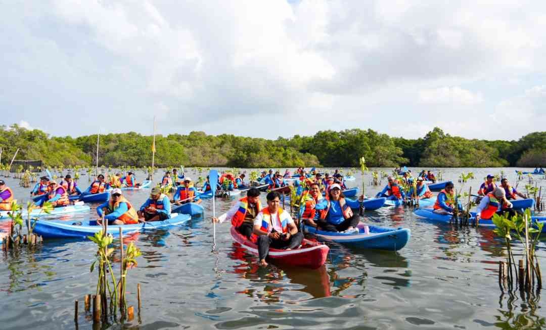 IMIP Genjot Rehabilitasi Mangrove, Targetkan Penanaman 2.026 Bibit di Morowali
