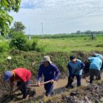 Isu Pungli Program Irigasi P3-TGAI di Bolaang Mongondow Terbukti Hoaks, Petani dan Kepala Desa Serentak Bantah