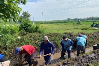 Isu Pungli Program Irigasi P3-TGAI di Bolaang Mongondow Terbukti Hoaks, Petani dan Kepala Desa Serentak Bantah